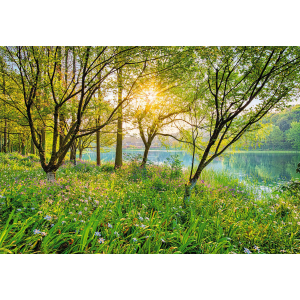 Фотообои бумажные Komar Spring Lake (Весеннее озеро NG) 368х254 см (8-524) в Виннице