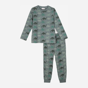 Піжама (лонгслів + штани) Coccodrillo Pyjamas ZC1448106PJS-027 104 см Сіра (5904705589172) краща модель в Вінниці