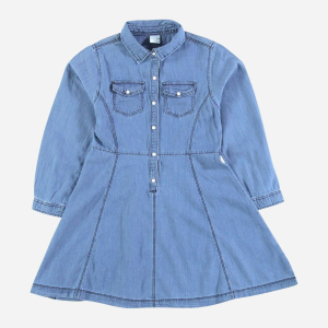 Платье джинсовое с длинными рукавами Piazza Italia 70029 172 см Denim (2070029001089) ТОП в Виннице