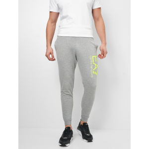 Спортивные штаны Emporio Armani 10783.2 XL (50) Серые