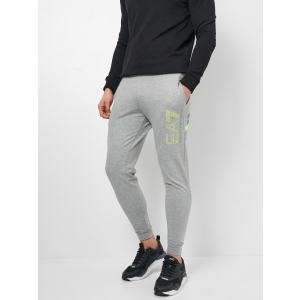 Спортивные штаны Emporio Armani 10784.2 XL (50) Серые