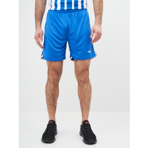 Спортивні шорти Mizuno High-Kyu Short V2EB700122 L (5054698344941) в Вінниці