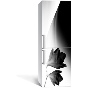 Вінілова 3D наклейка на холодильник Zatarga Мінімалізм та магнолія 650х2000 мм (Z180948re) краща модель в Вінниці