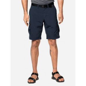 Шорти Jack Wolfskin Canyon Cargo Shorts 1504201-1010 48 (4055001473199) ТОП в Вінниці