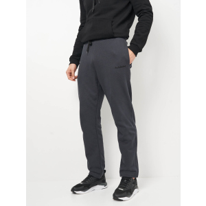 купить Спортивные штаны Baldinini Felpa Pantalone Ricamo 3D M16-N9299 L (54) Grigio Scuro (8056600412936)