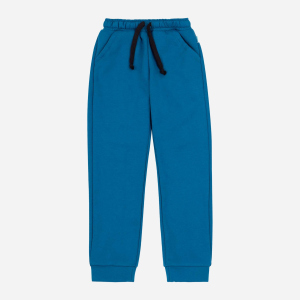 Спортивные штаны Бемби SHR698-R00 110 см Бирюзовые (4823109689695) в Виннице