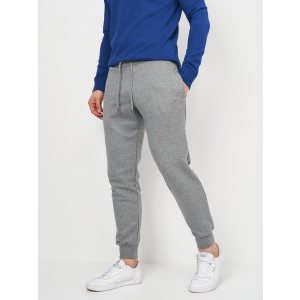 Спортивные штаны GANT 10825.4 XL (50) Серые (10825.4_XL) рейтинг