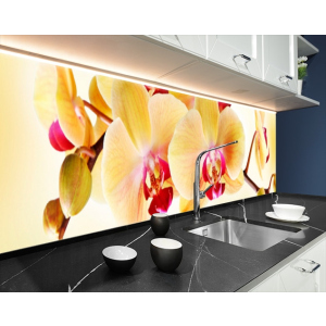 Стеновая панель кухонная, Цветы 62x205см. (s_01_s_fl203_Q) лучшая модель в Виннице