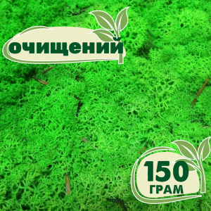 Очищений стабілізований мох ягель Nordic moss Зелений трав'яний світлий 150 грам ТОП в Вінниці