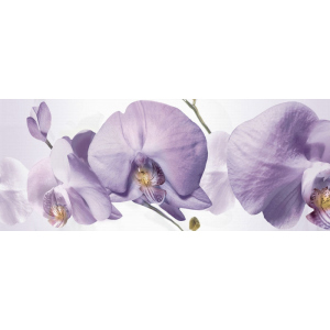 купить Декор Halcon Colours Orquideas Berenjena лиловый 200x500 (016305)