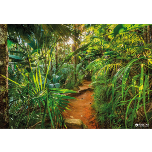Фотообои бумажные Komar Jungle Trail 368х254 см 8 сегментов (8-989) в Виннице