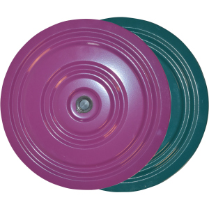Диск здоровья металлический IVN 28 см Фиолетово-зеленый (CH-3744) в Виннице