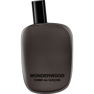 Тестер Парфюмированная вода унисекс Comme Des Garcons Wonderwood 100 мл (8411061707838) лучшая модель в Виннице