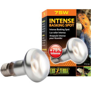 Рефлекторная лампа накаливания Exo Terra «Intense Basking Spot» для обогрева 75 Вт, E27 (015561221368) рейтинг