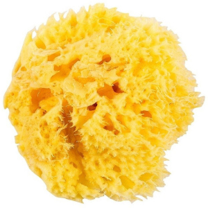 Натуральная морская губка Ok Baby Honeycomb Sea Sponge размер 12 (38471200) в Виннице