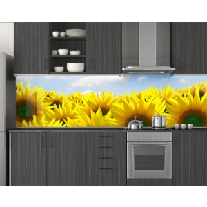 купить Стеновая панель кухонная, Цветы 62x205см. (s_01_s_fl11520_Q)