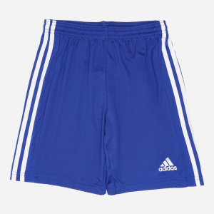 Шорты детские Adidas Squad 21 Sho Y GK9156 146-152 см Royblu/White (4064044275011) в Виннице