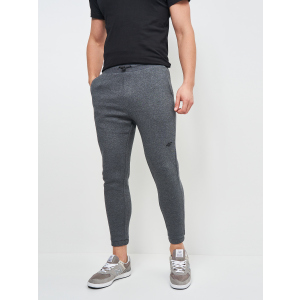 Спортивні штани 4F H4Z21-SPMD011-24M L Middle Grey Melange (5903609127671) краща модель в Вінниці